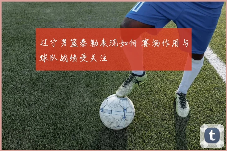 辽宁男篮泰勒表现如何 赛场作用与球队战绩受关注