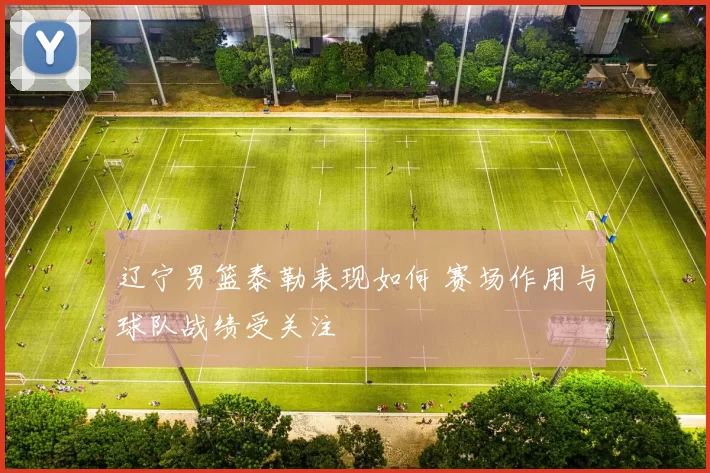 辽宁男篮泰勒表现如何 赛场作用与球队战绩受关注